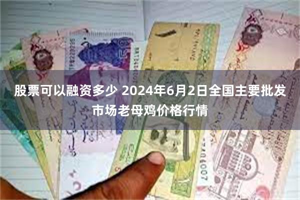 股票可以融资多少 2024年6月2日全国主要批发市场老母鸡价格行情